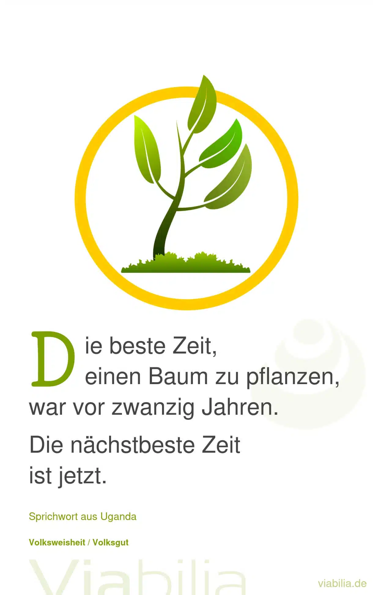 sprichwort-baum-pflanzen Die beste Zeit, einen Baum zu pflanzen