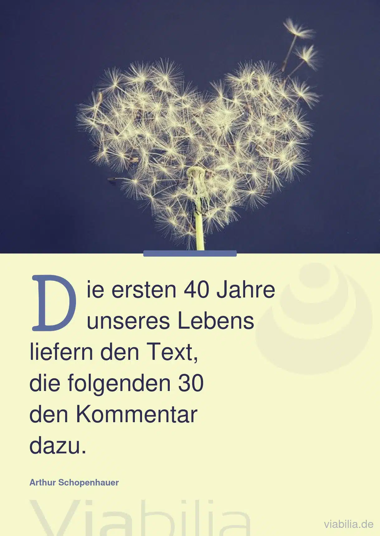 Runder Geburtstag Sprüche und Glückwünsche