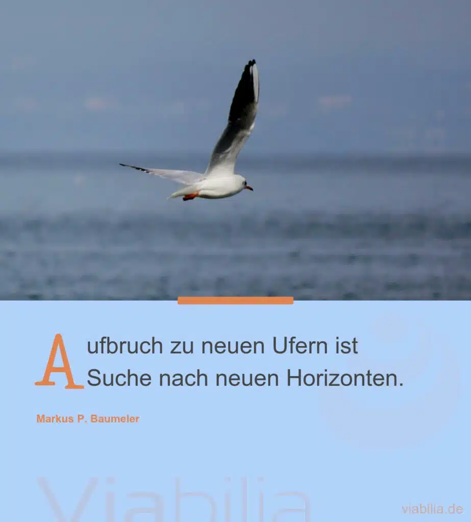 Markus Baumeler Aufbruch zu neuen Ufern