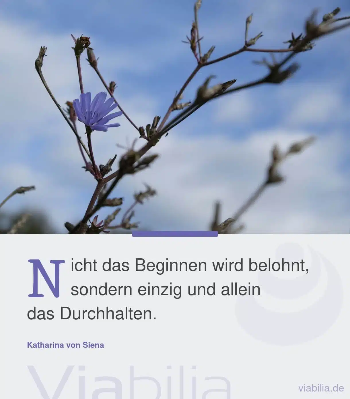 Spruch über Ausdauer und Durchhalten Spruch über Ausdauer und Durchhalten