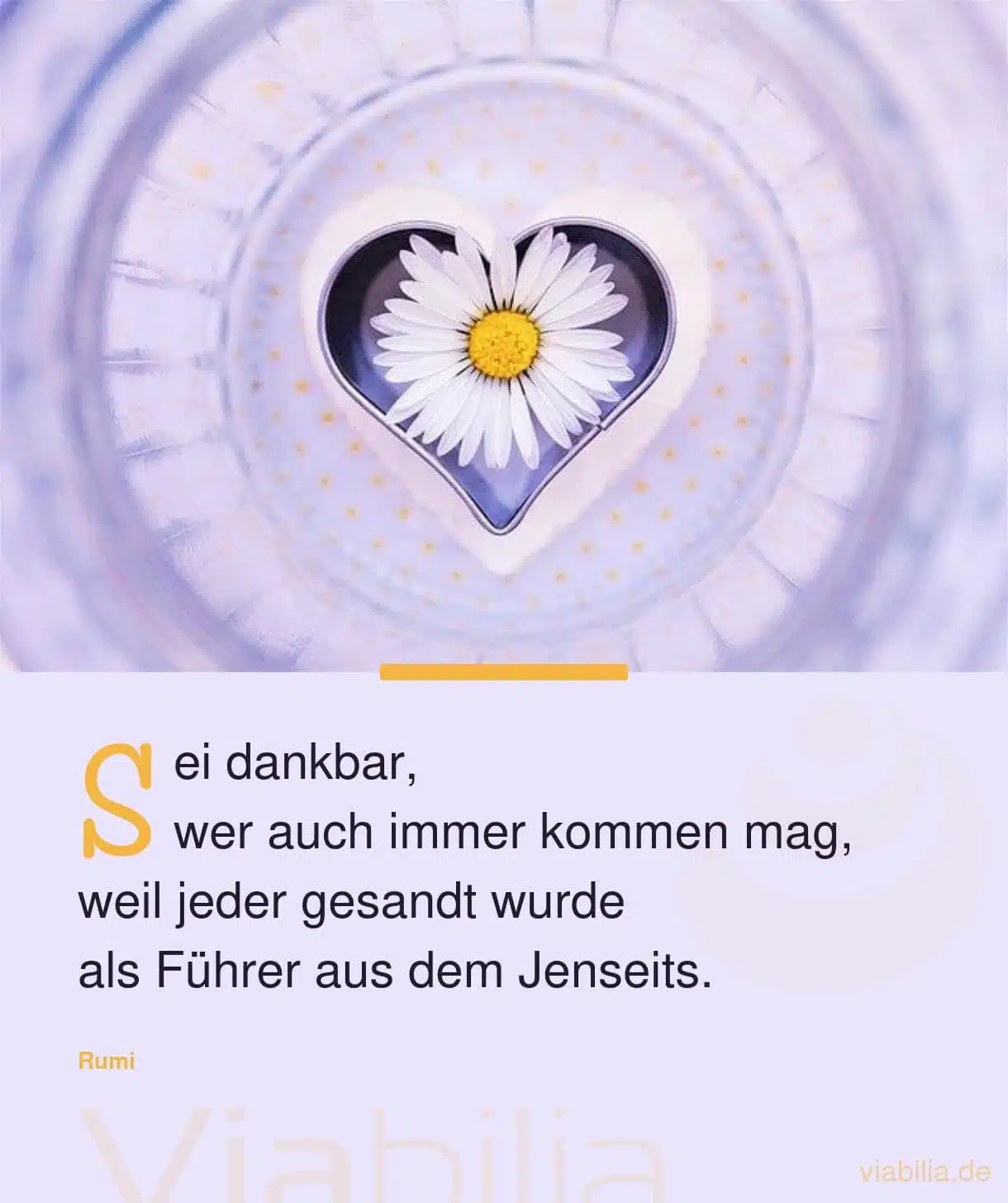 Spruch über Dankbarkeit