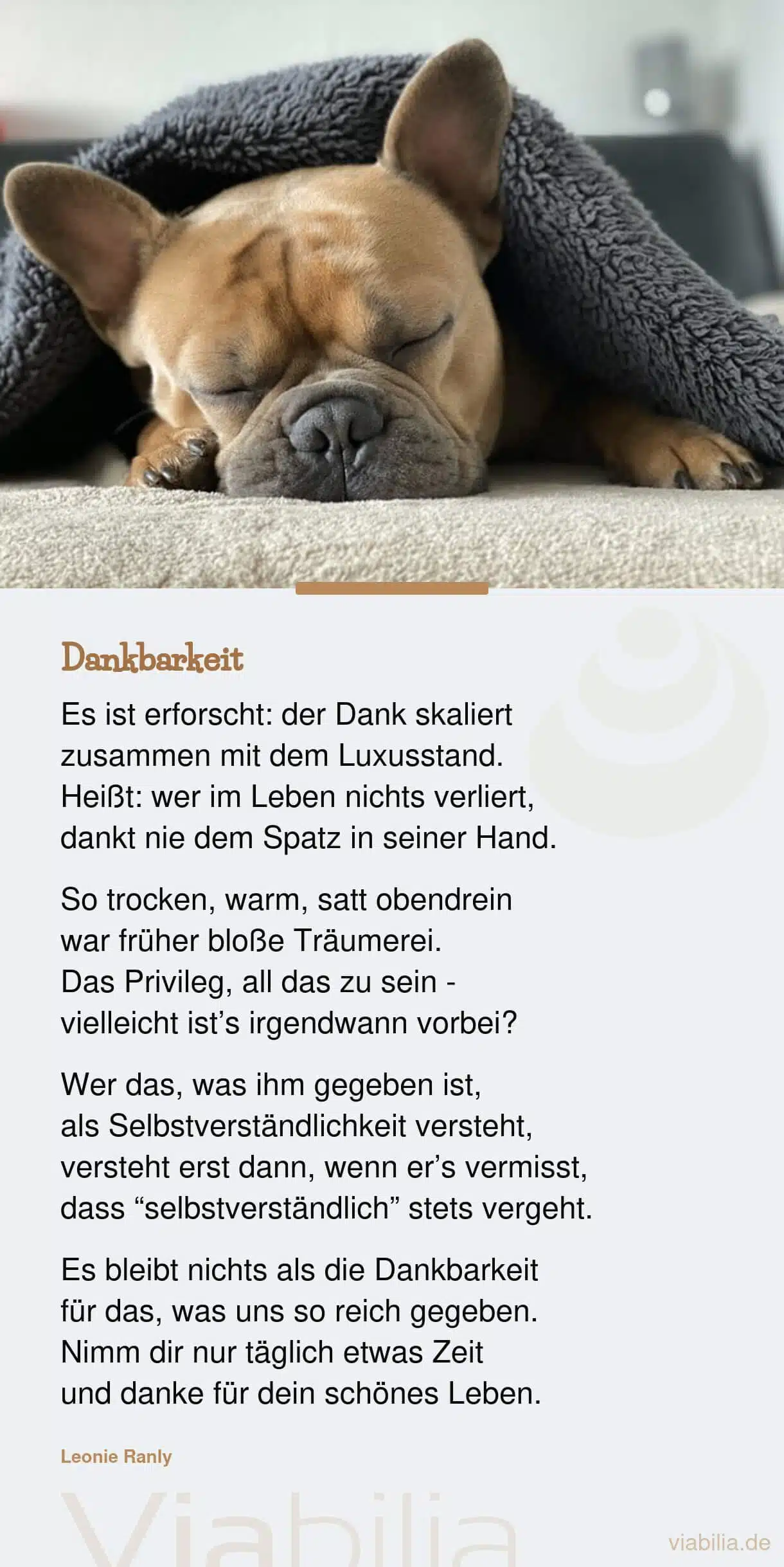 Spruch über Dankbarkeit mit Bild