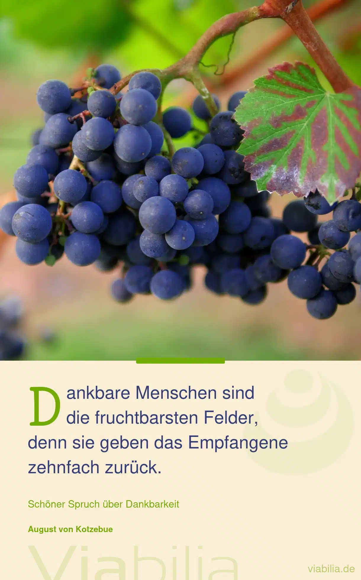 Spruch über dankbare Menschen