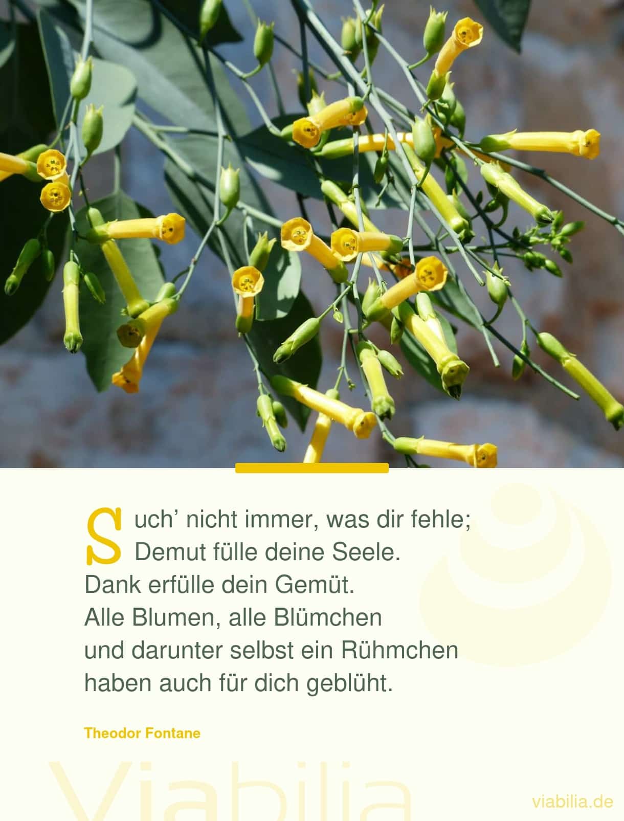 Gedicht über Demut und Dankbarkeit