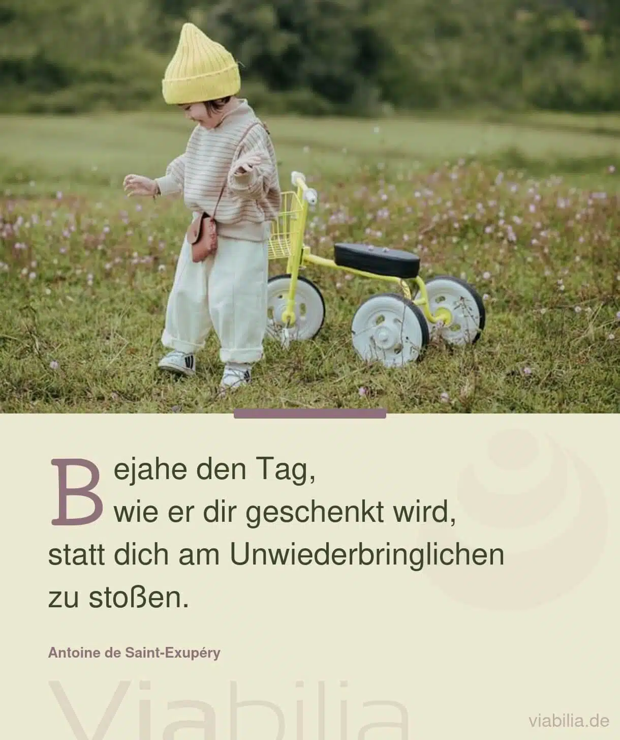 Spruch: den Tag bejahen Spruch: den Tag bejahen
