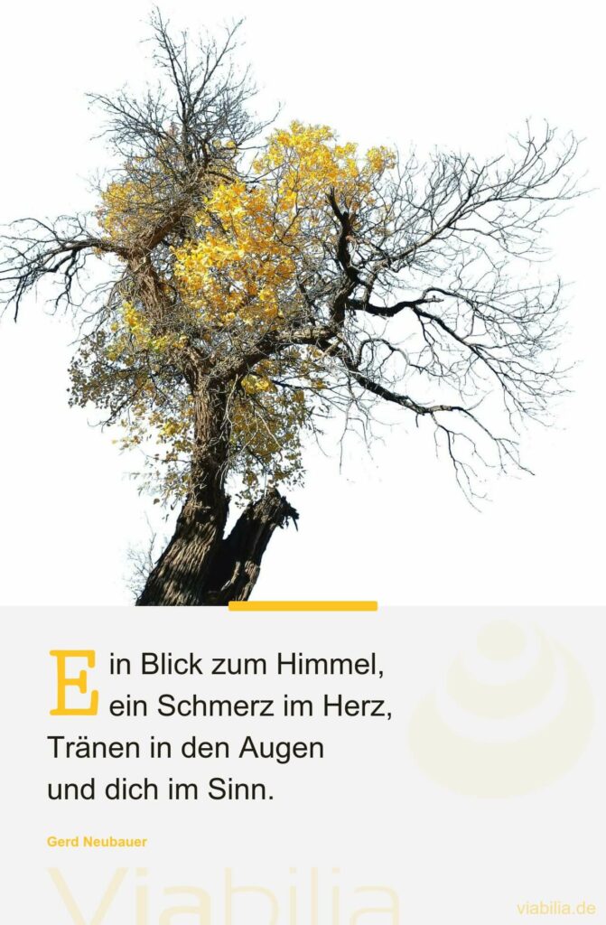 Gerd Neubauer Trauerspruch: Ein Schmerz im Herz