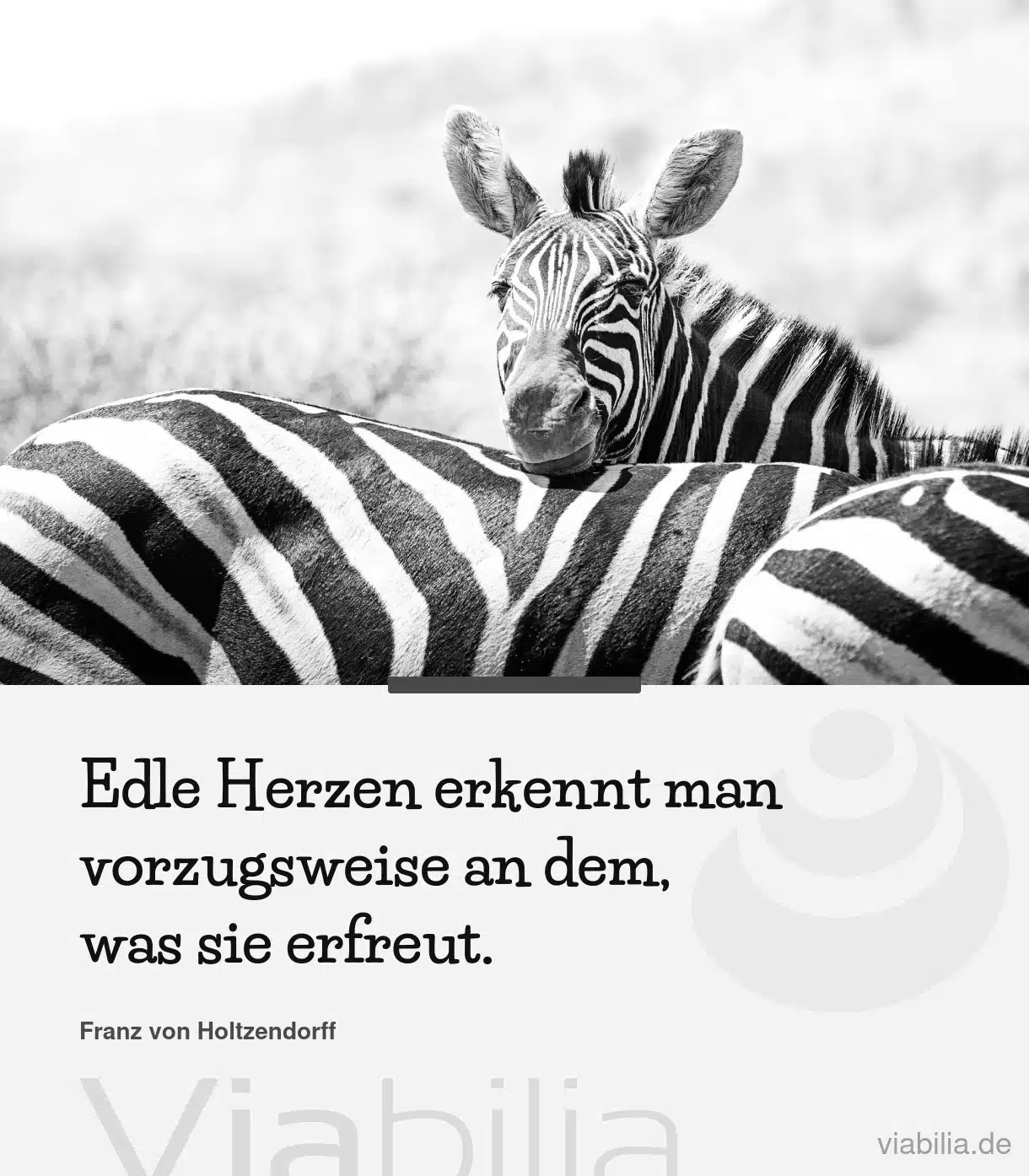 Spruch: edle Herzen an ihrer Freude erkennen Spruch: edle Herzen an ihrer Freude erkennen