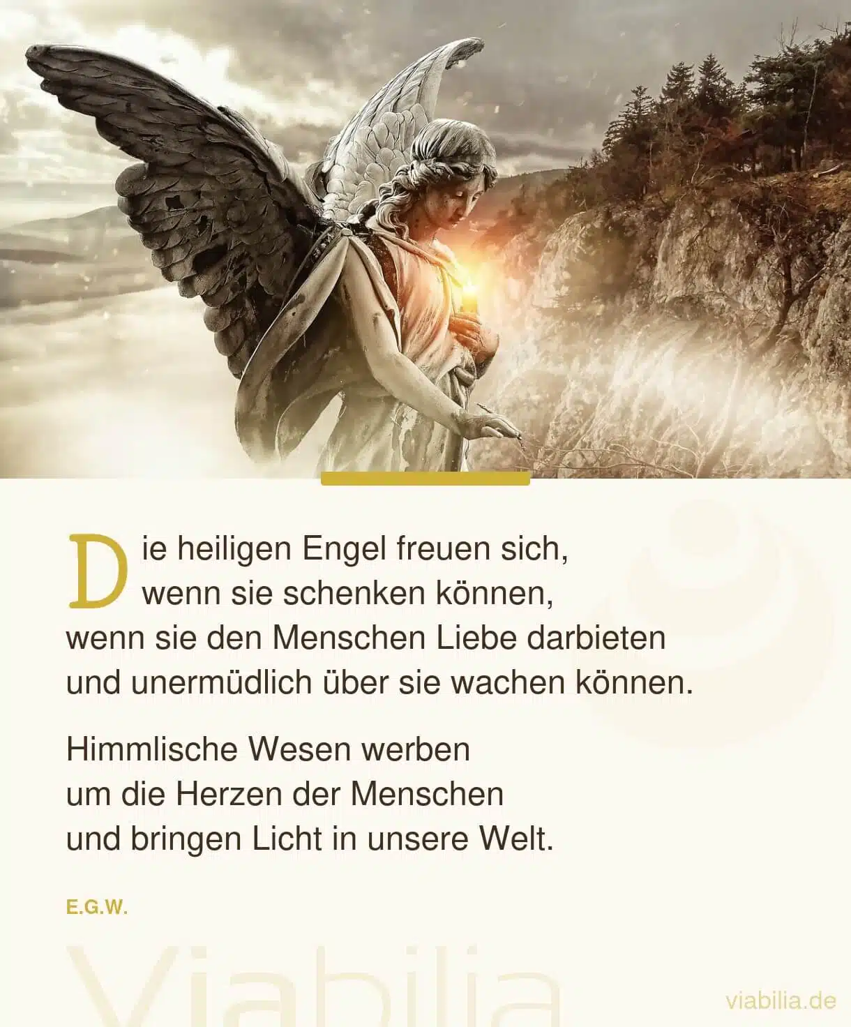 Spruch: Engel bringen Licht in die Welt