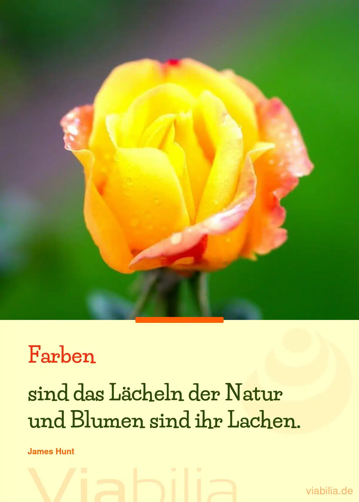 Spruch: Farben als Lächeln der Natur