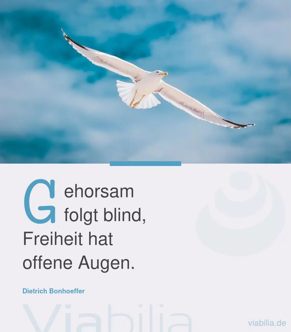 Spruch über Freiheit