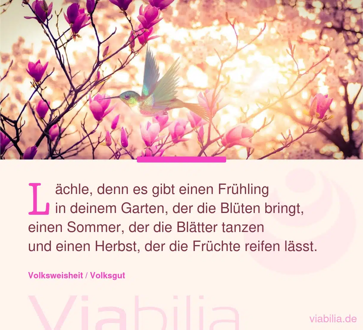 Herbstgrüße für WhatsApp und schöne Herbstsprüche