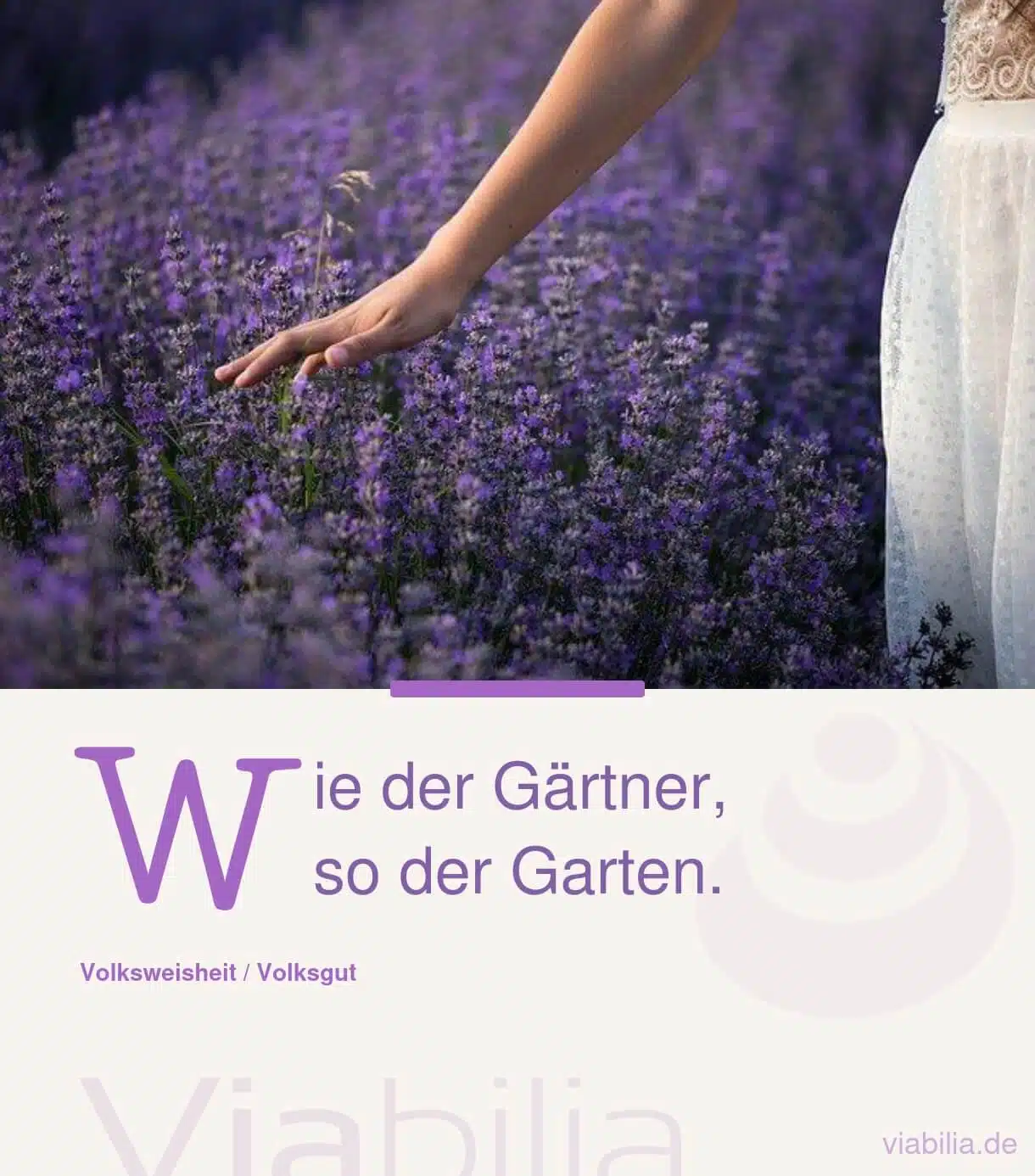 Schöne Gartensprüche mit Bildern, kostenlos zum Teilen