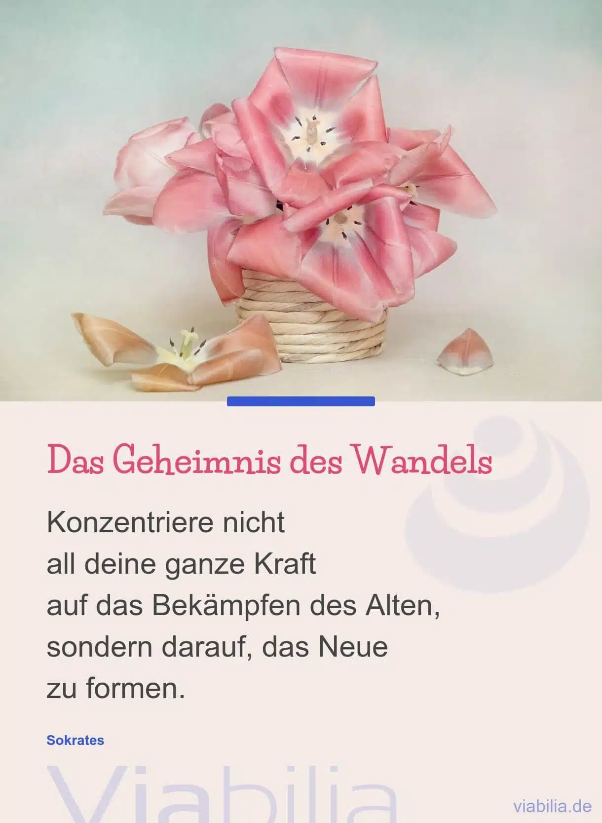 Das Geheimnis des Wandels Das Geheimnis des Wandels