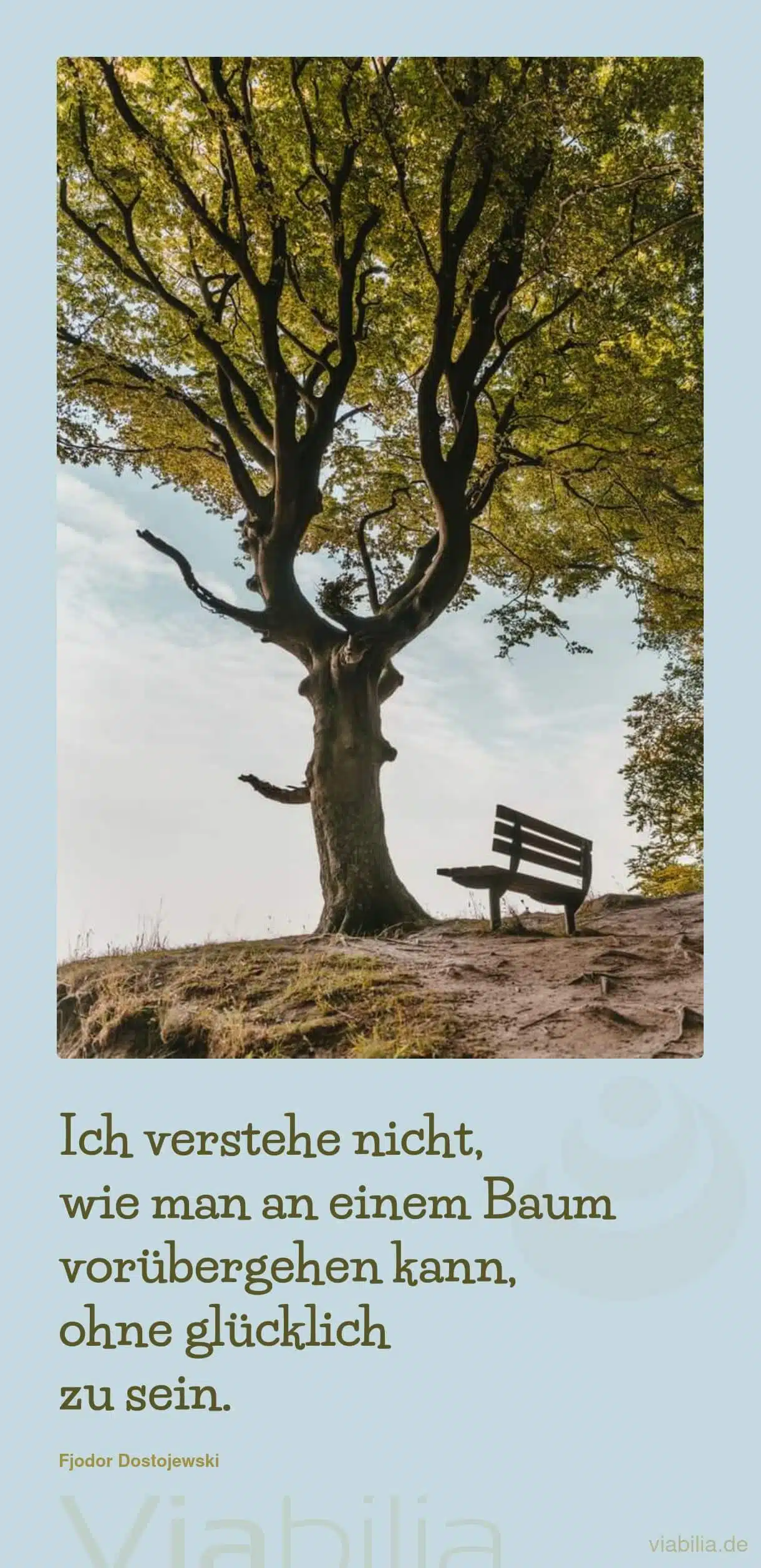 Spruch über Glück und Bäume