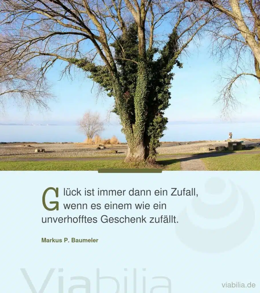 Markus Baumeler Spruch über Glück