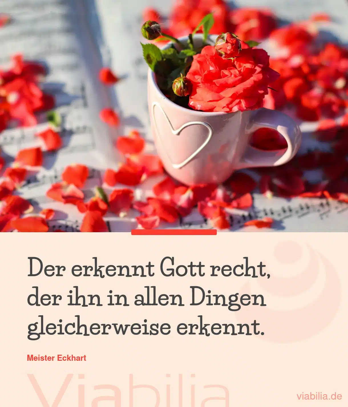 Spruch über Gott recht erkennen von Meister Eckhart