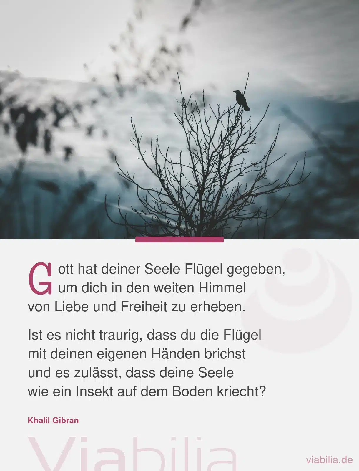 Spruch über Gott und die Seele