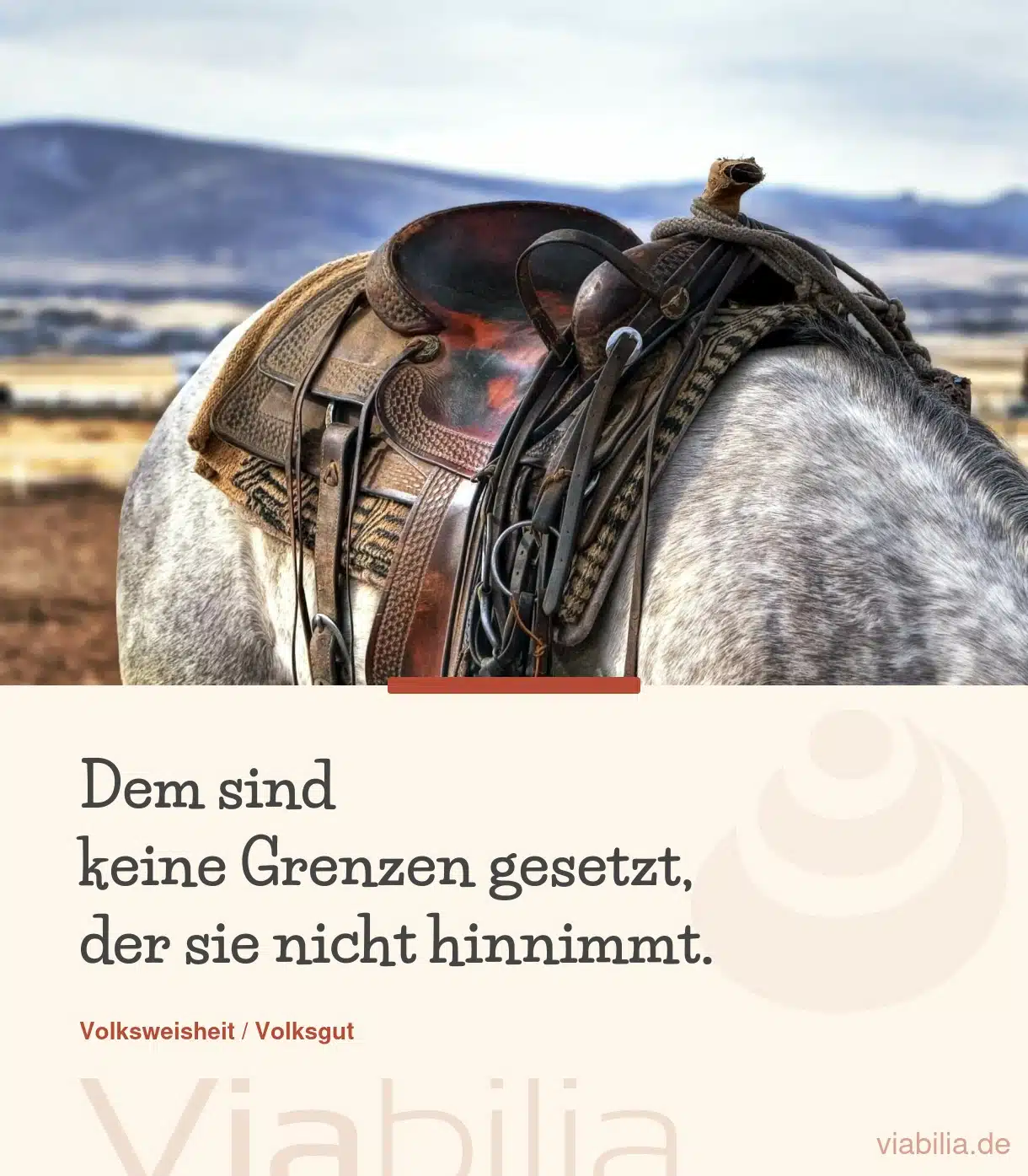 Spruch: Grenzen nicht hinnehmen