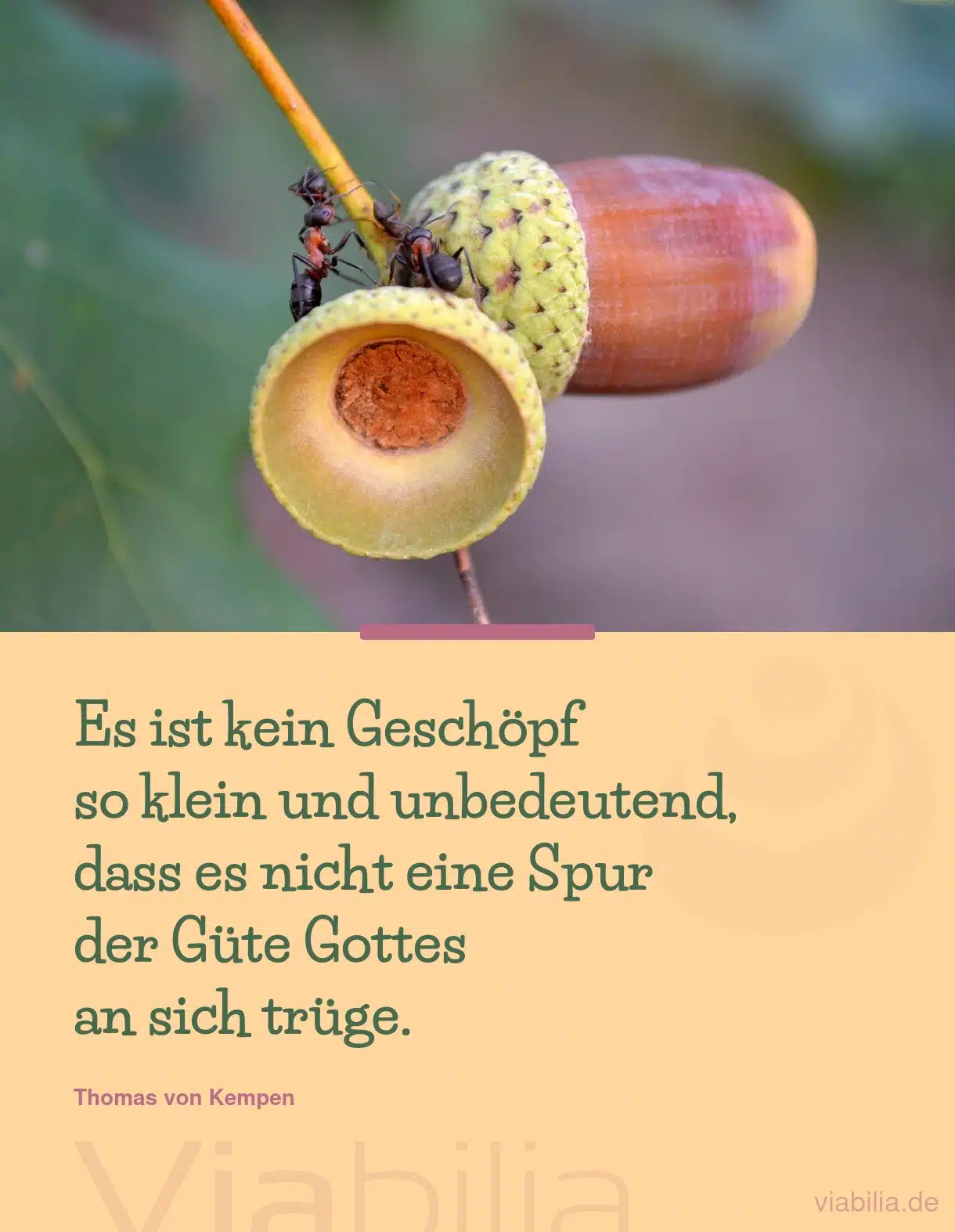 Spruch über die Güte Gottes