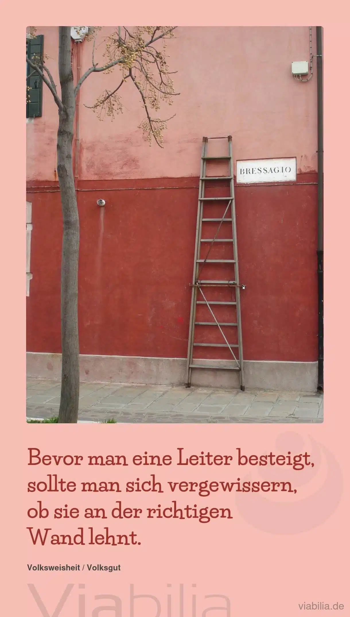 Spruch über den Neuanfang Spruch über den Neuanfang