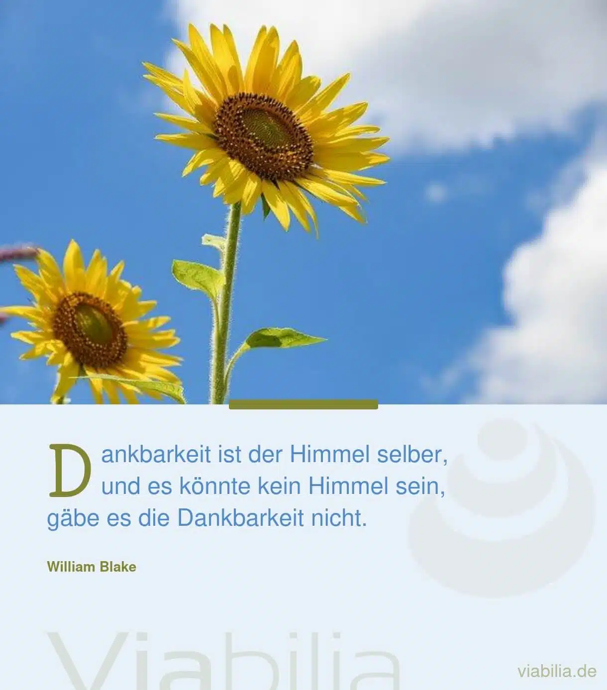 Spruch über den Himmel der Dankbarkeit