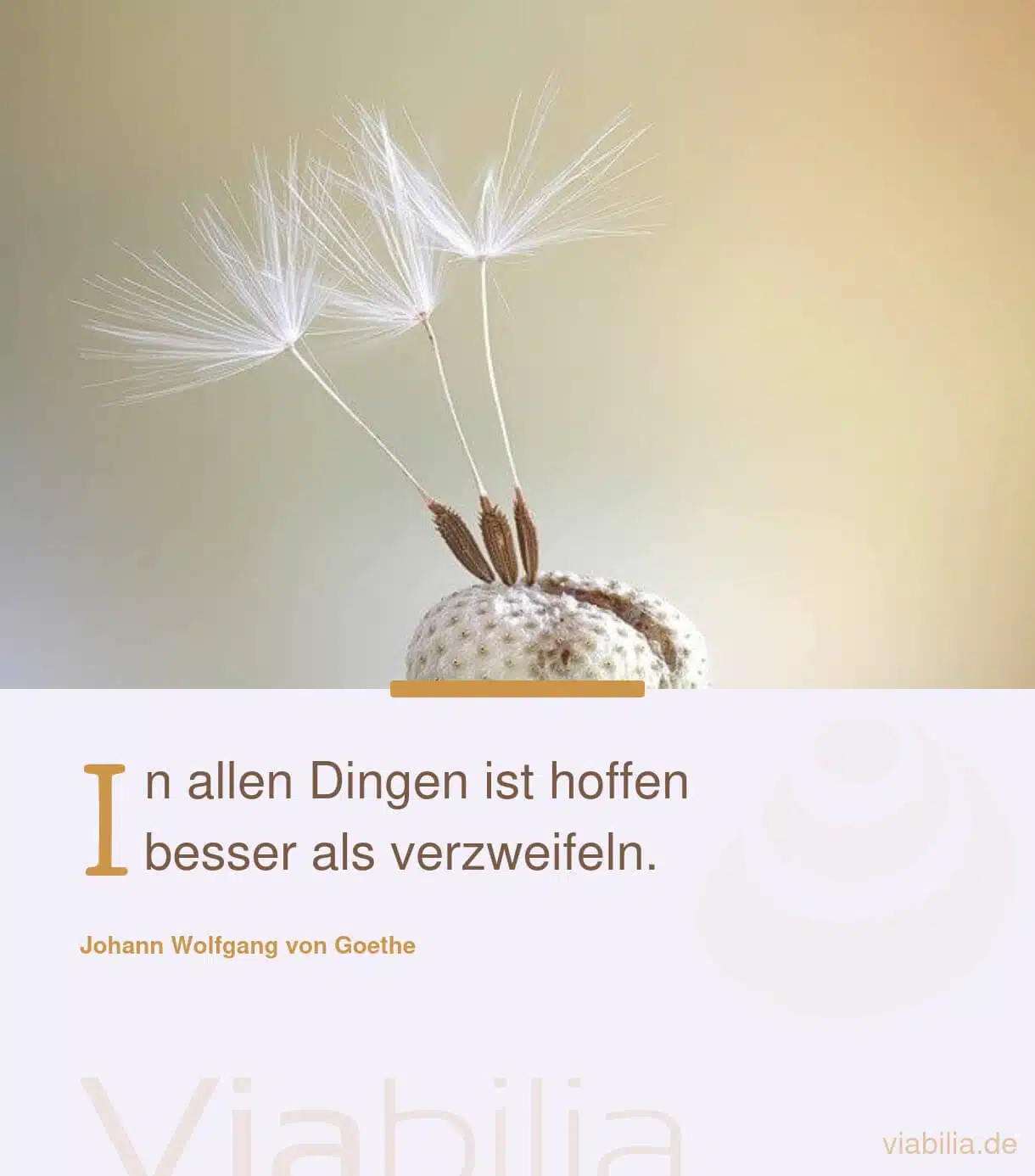 Spruch über hoffen und nicht verzweifeln Spruch über hoffen und nicht verzweifeln