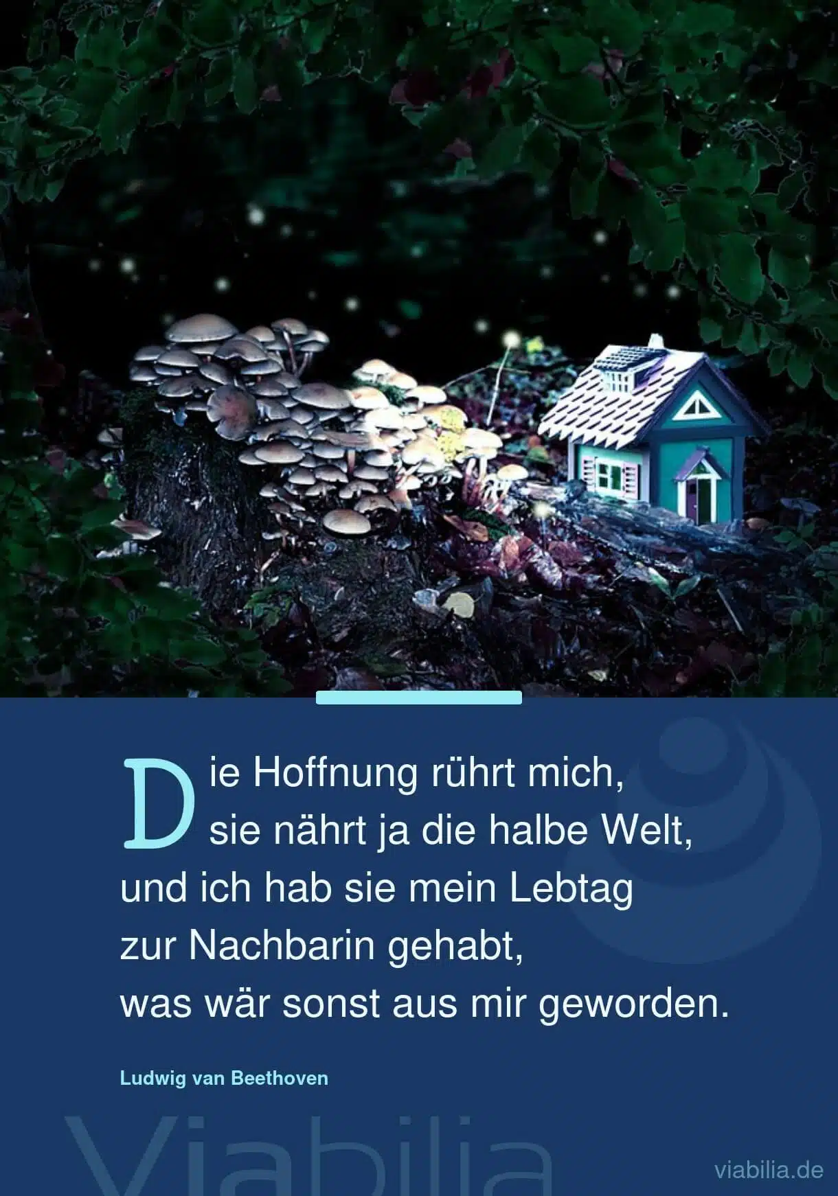 Spruch mit Bild über die Hoffnung als Nachbarin Spruch mit Bild über die Hoffnung als Nachbarin