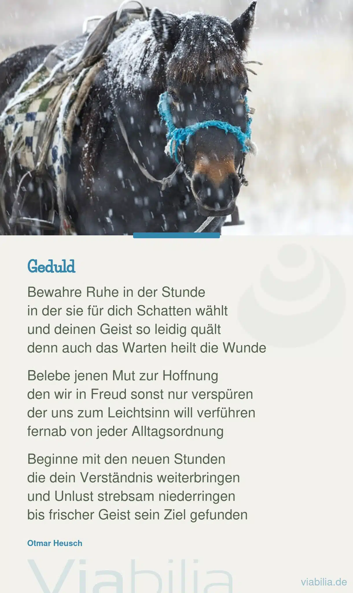 Spruch Hoffnung und Geduld Spruch Hoffnung und Geduld