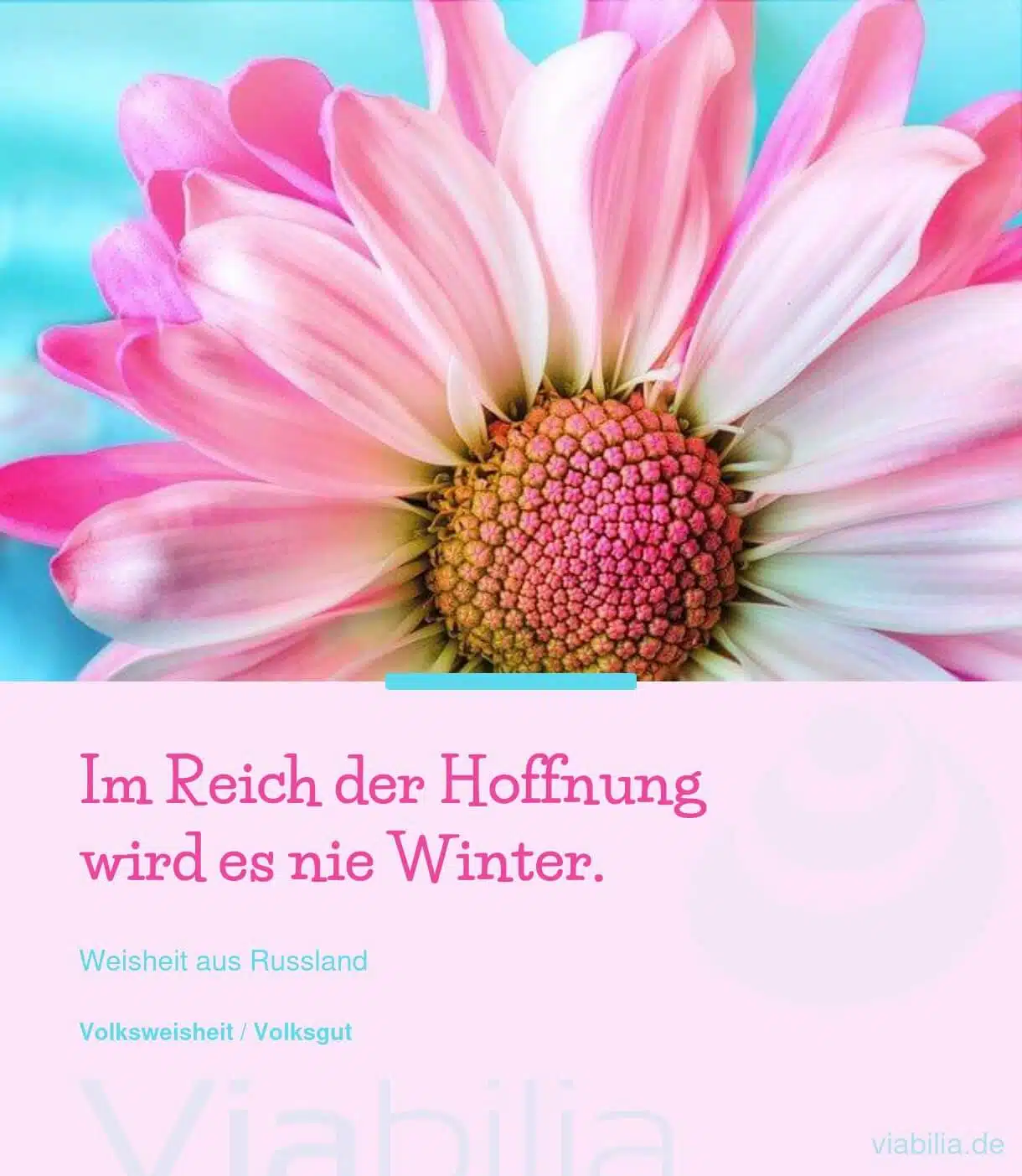 Spruch: im Reich der Hoffnung ist nie Winter Spruch: im Reich der Hoffnung ist nie Winter