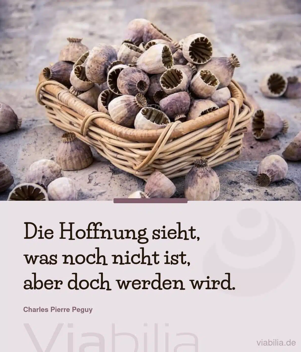 Spruch über die Hoffnung, was werden wird Spruch über die Hoffnung, was werden wird