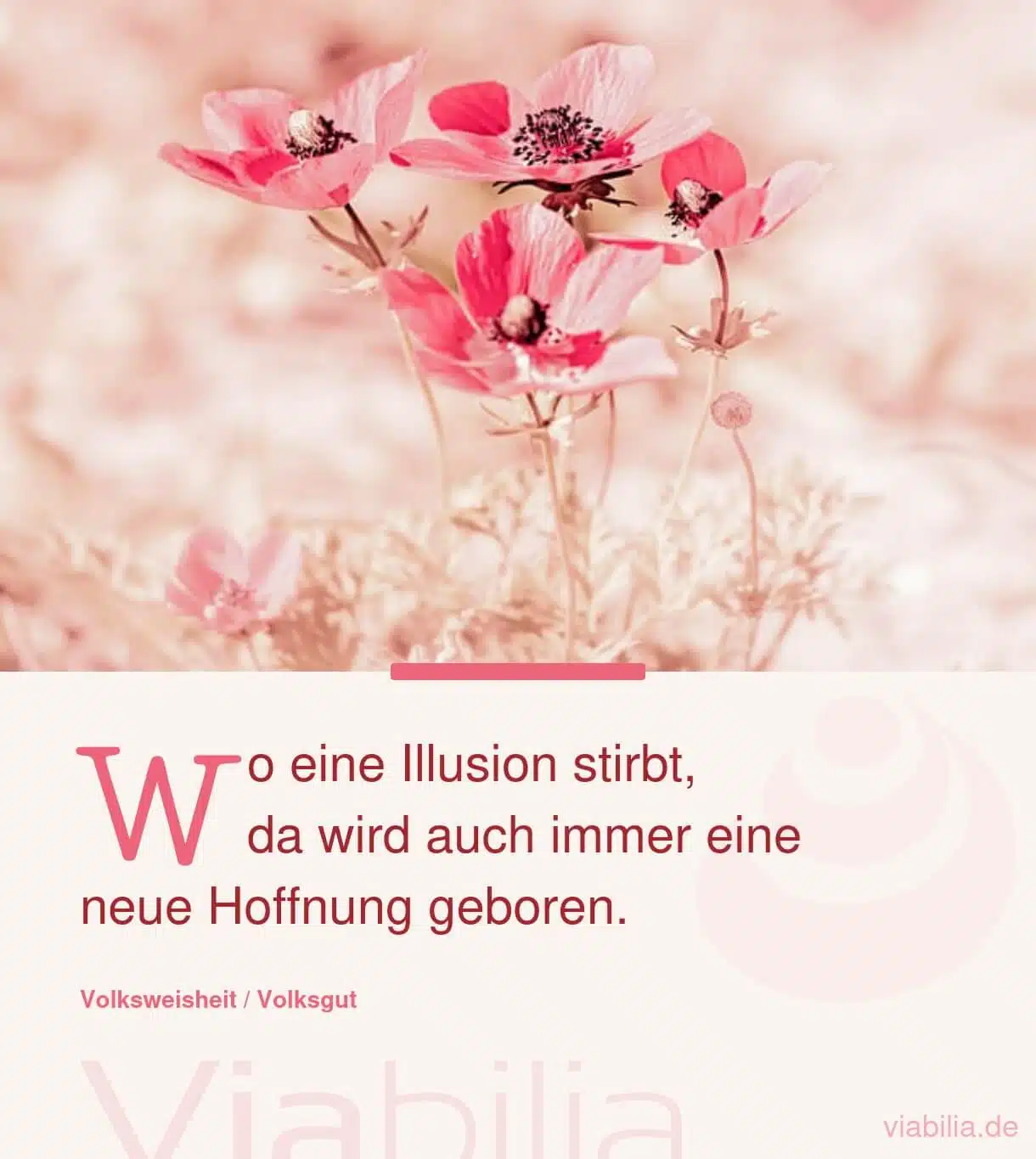 Spruch: wenn eine Illusion stirbt Spruch: wenn eine Illusion stirbt