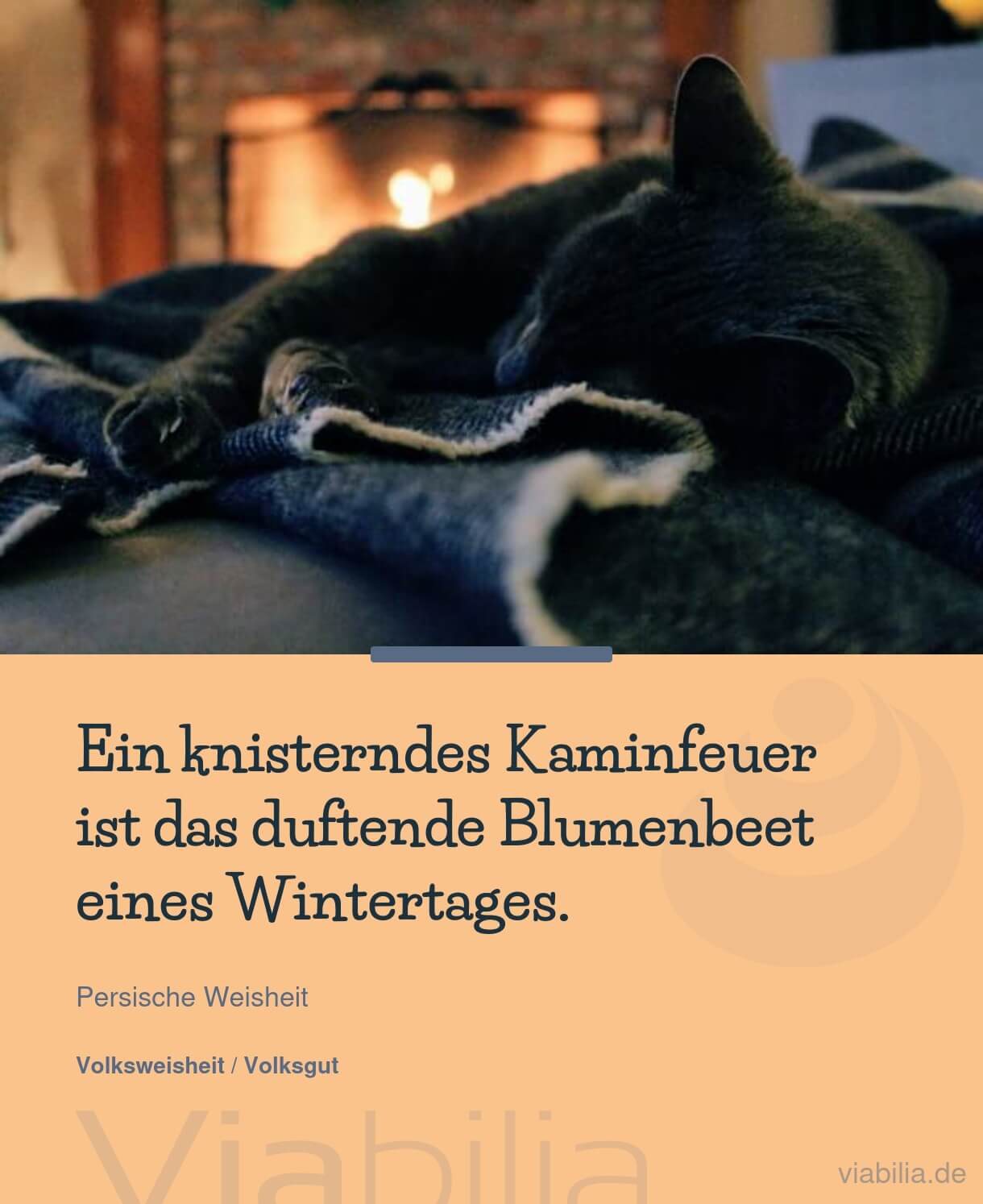 Spruch mit einer Katze am Kaminfeuer Spruch mit einer Katze am Kaminfeuer