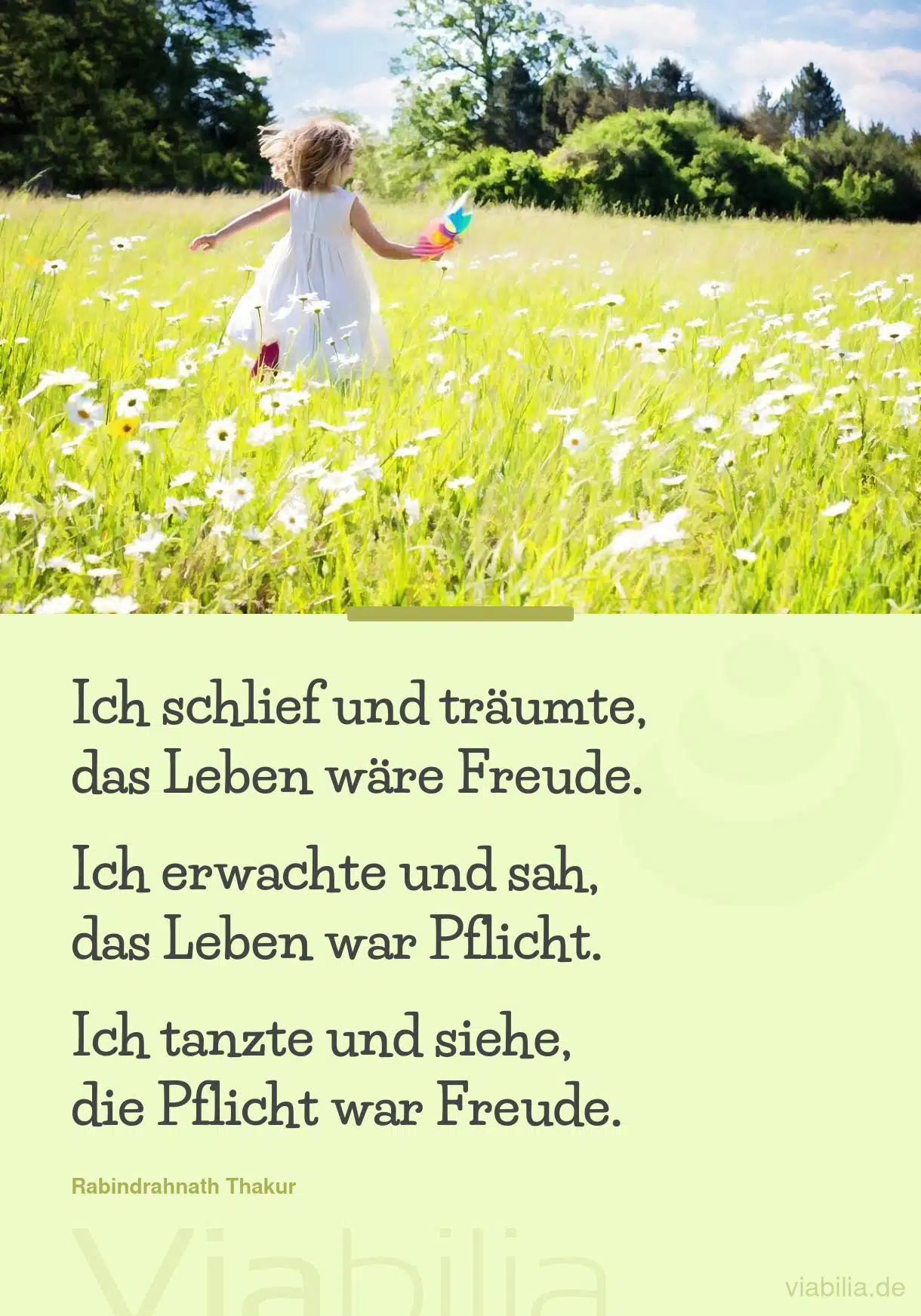 Spruch: das Leben ist Pflicht und Freude