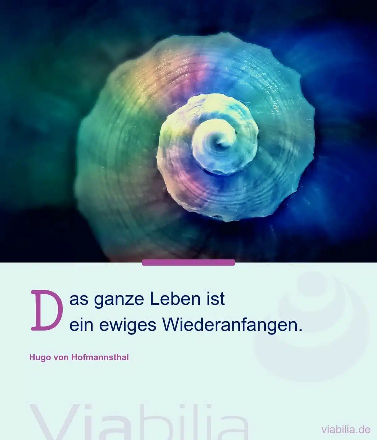 Spruch: Leben Wiederanfangen Spruch: Leben Wiederanfangen