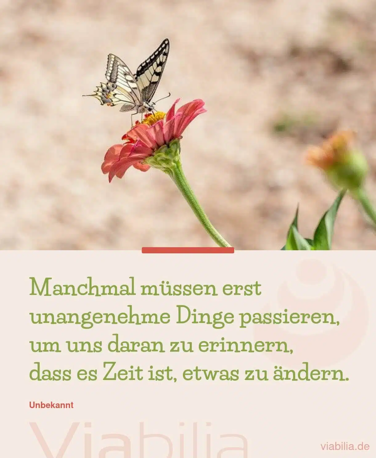 Spruch über das Loslassen, wenn sich etwas nicht ändern lässt Spruch über das Loslassen, wenn sich etwas nicht ändern lässt