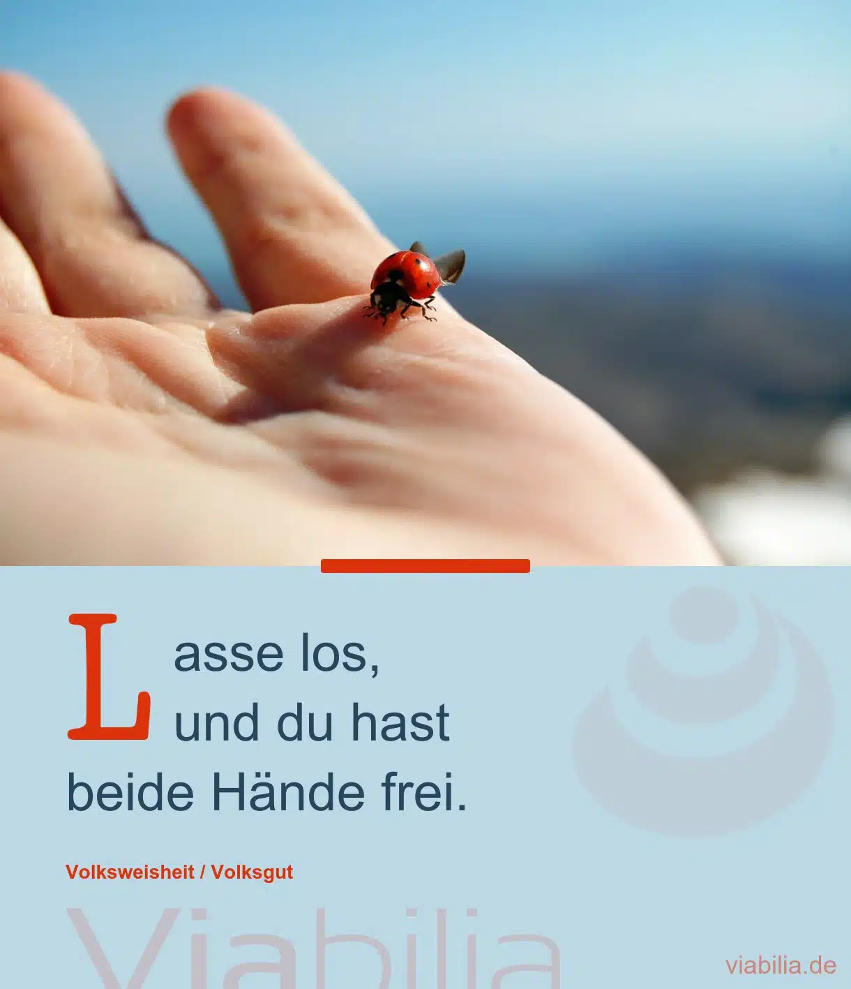 Spruch Loslassen und Hände frei haben