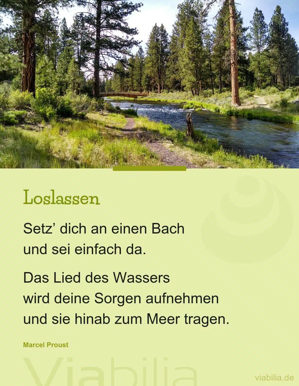 Spruch über das Loslassen