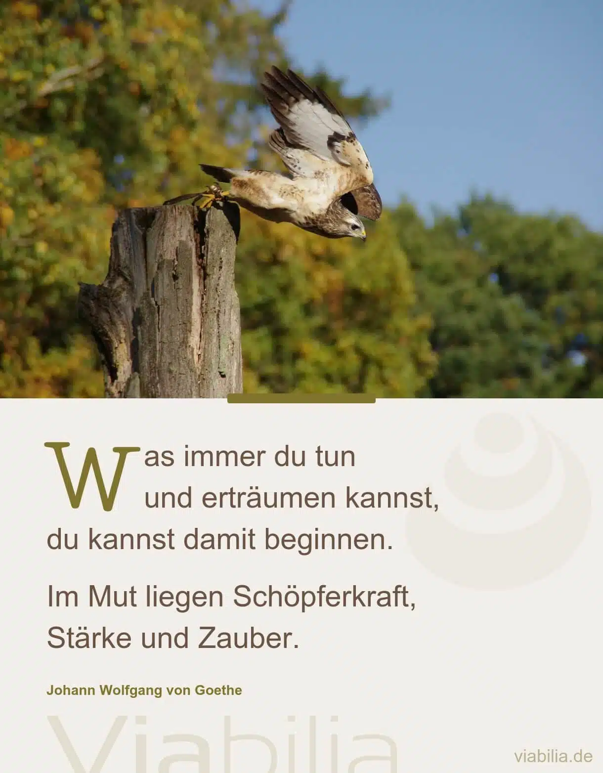 Spruch: Mut zum Beginnen Spruch: Mut zum Beginnen