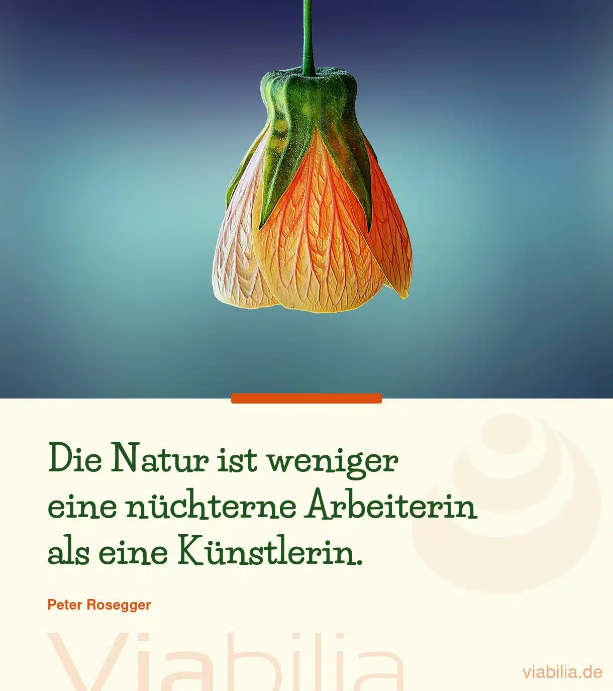 Spruch: Natur ist eine Künstlerin