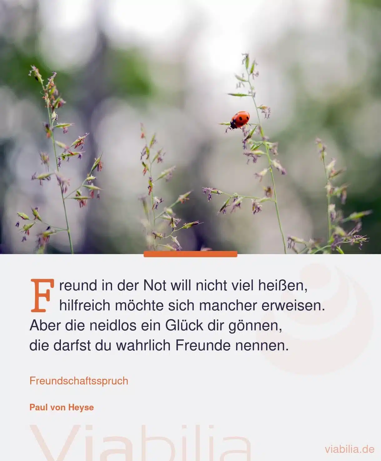 Freundschaftsgedicht: Freund in der Not will nicht viel heißen