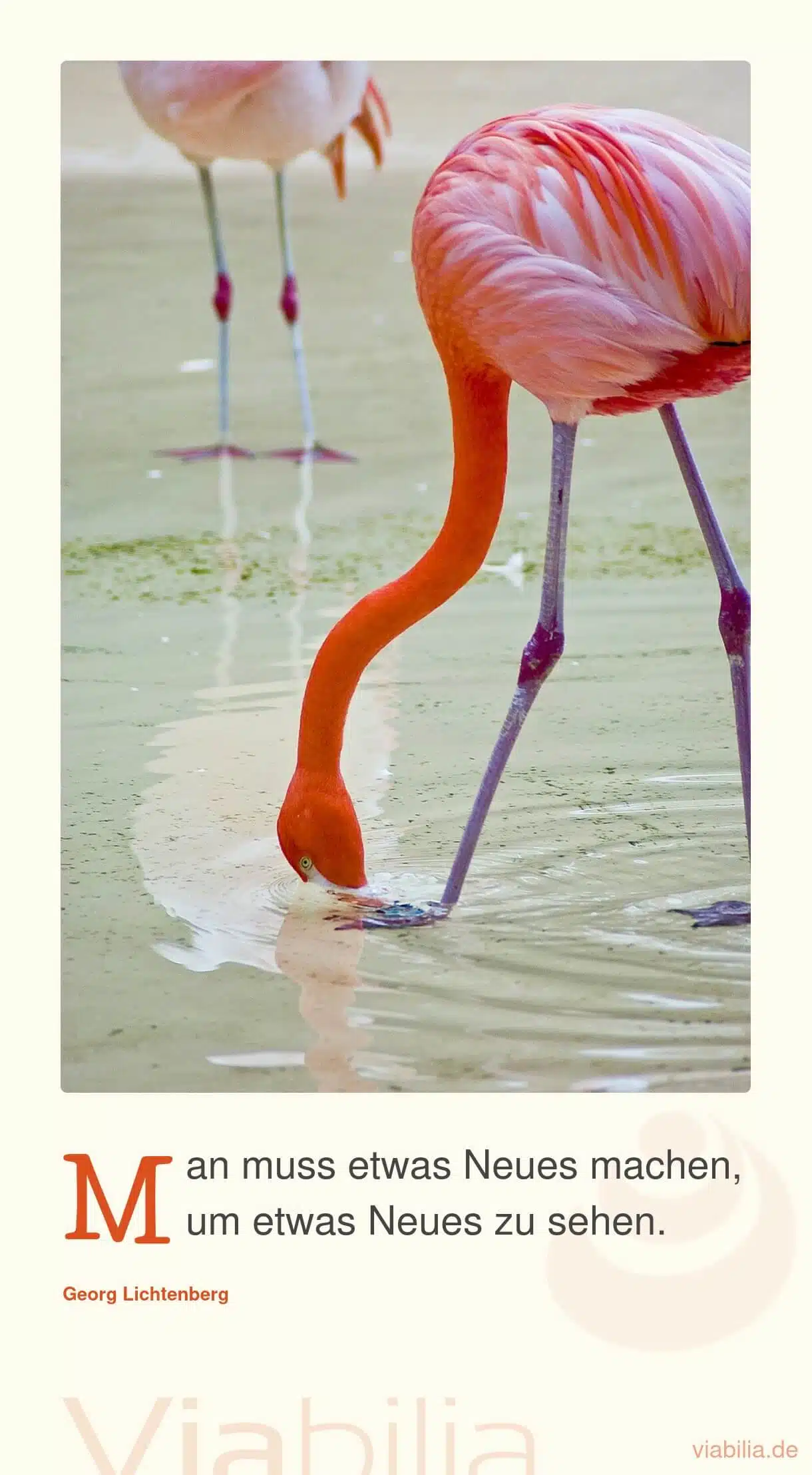 Spruch über Veränderung: Neues machen Spruch über Veränderung: Neues machen