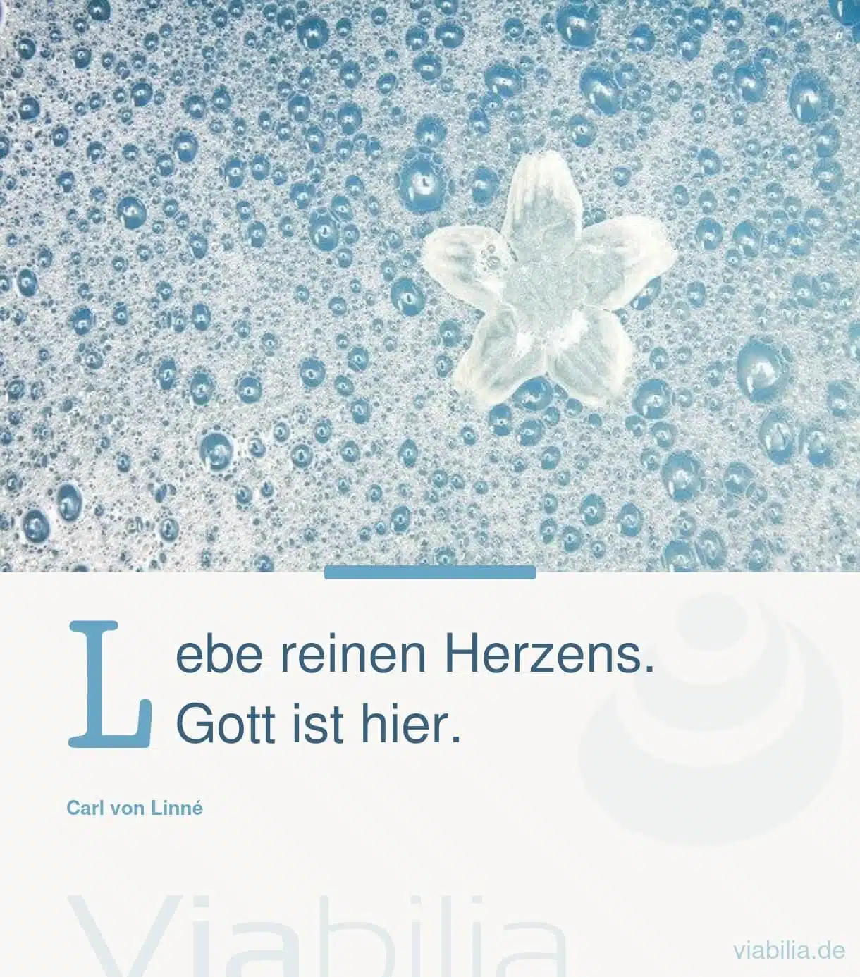 Herz-Sprüche: nach seinem Herzen leben