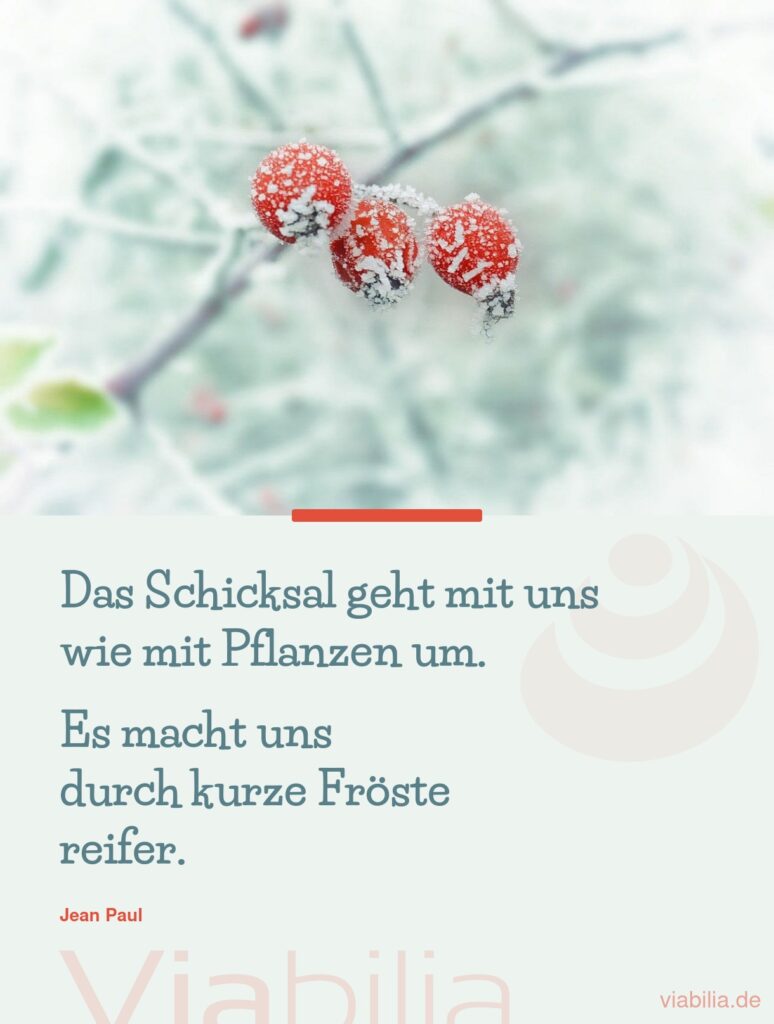 Sprüche über Schicksal und Zufall