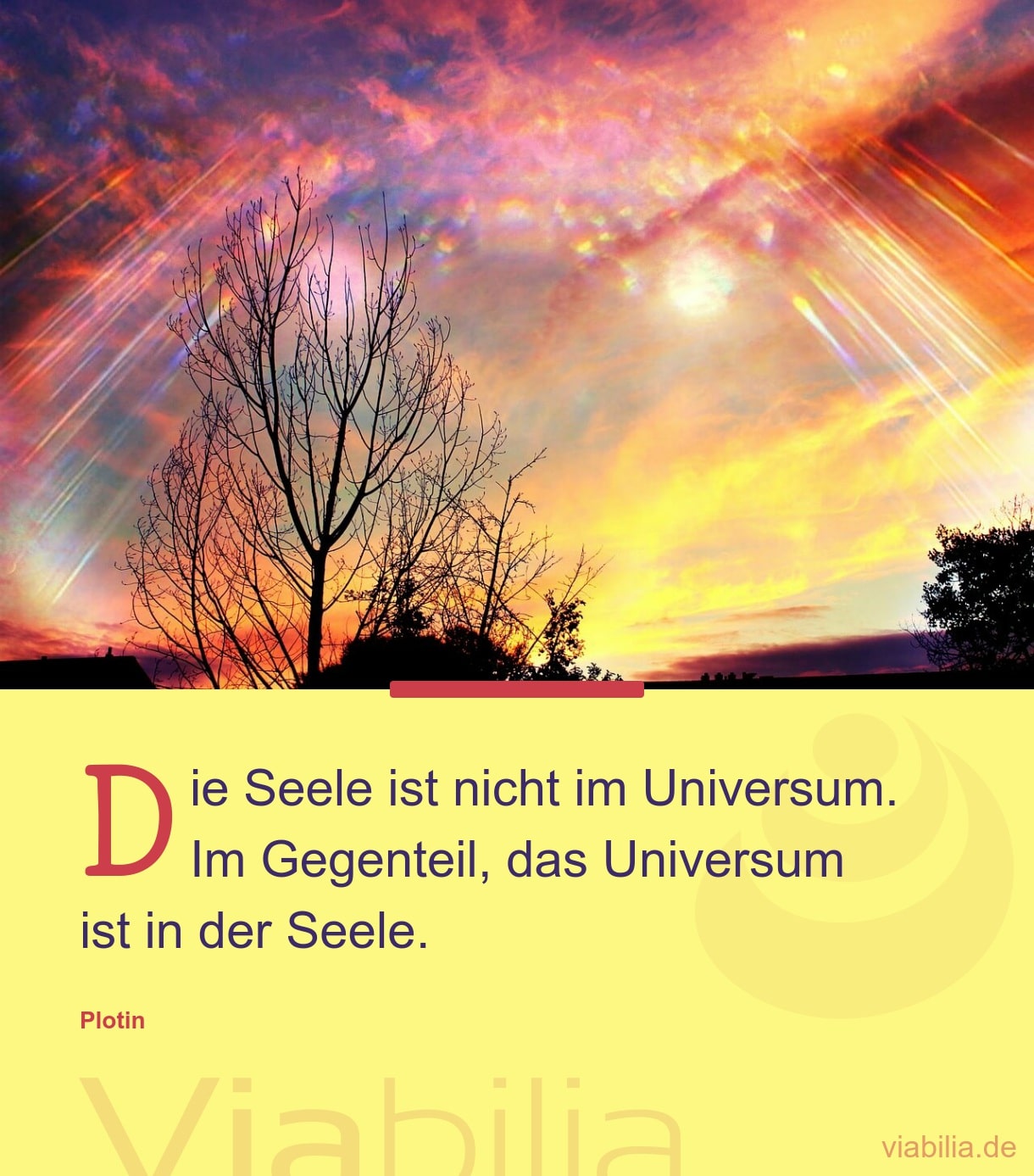 Schöner Spruch über die Seele und das Universum