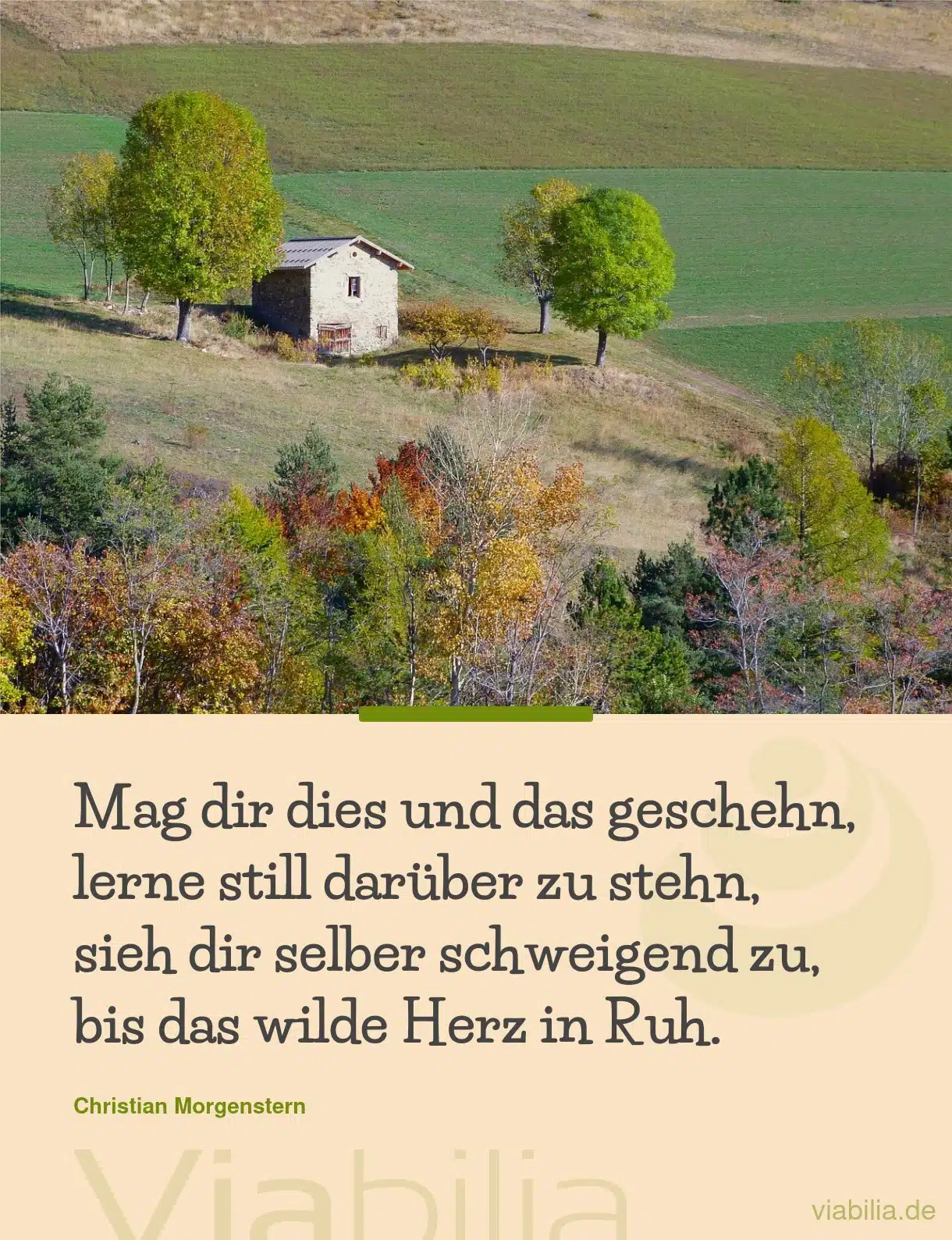 Spruch: Sieh dir selber schweigend zu