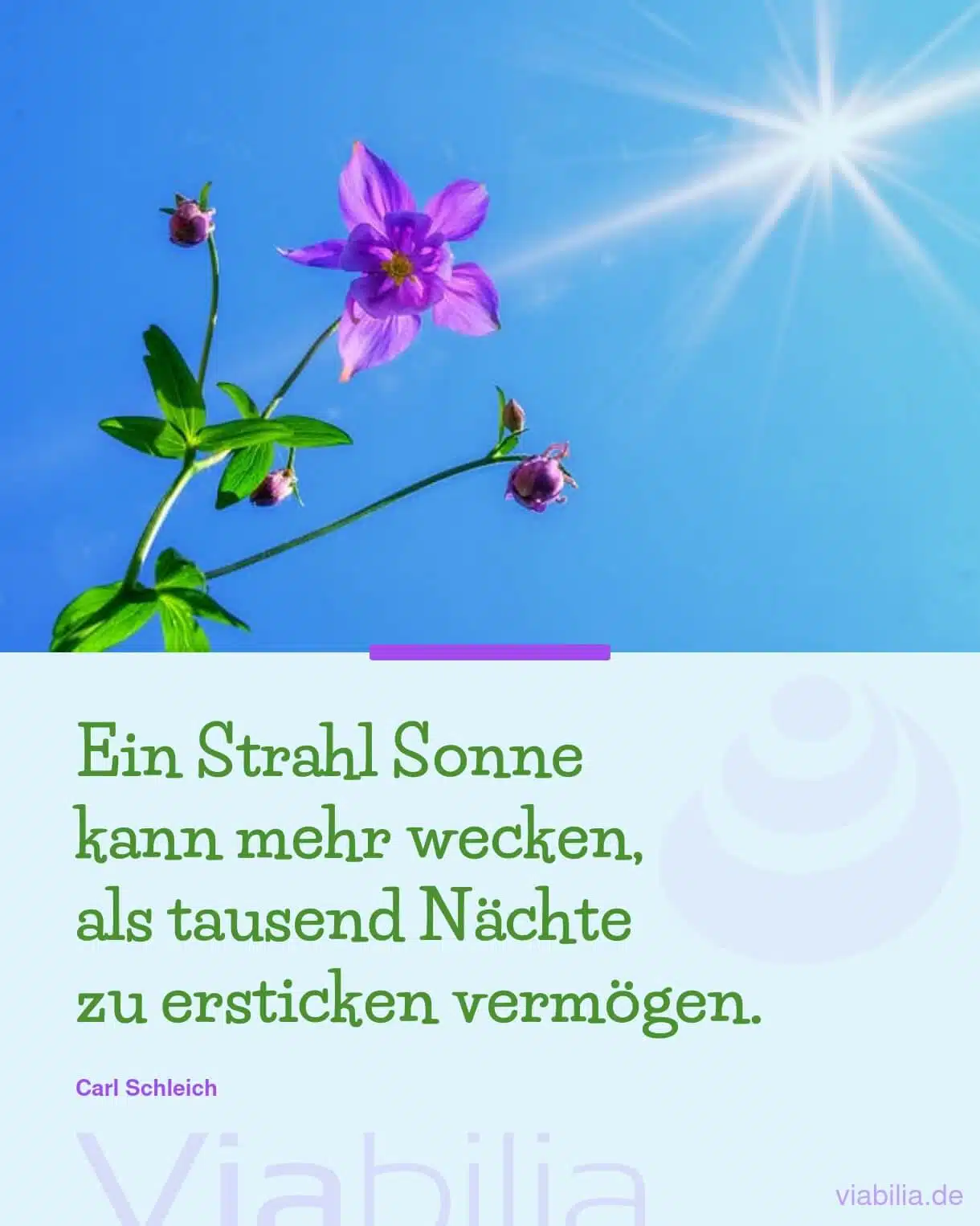 Spruch über Sonnenstrahlen, die Hoffnung wecken Spruch über Sonnenstrahlen, die Hoffnung wecken