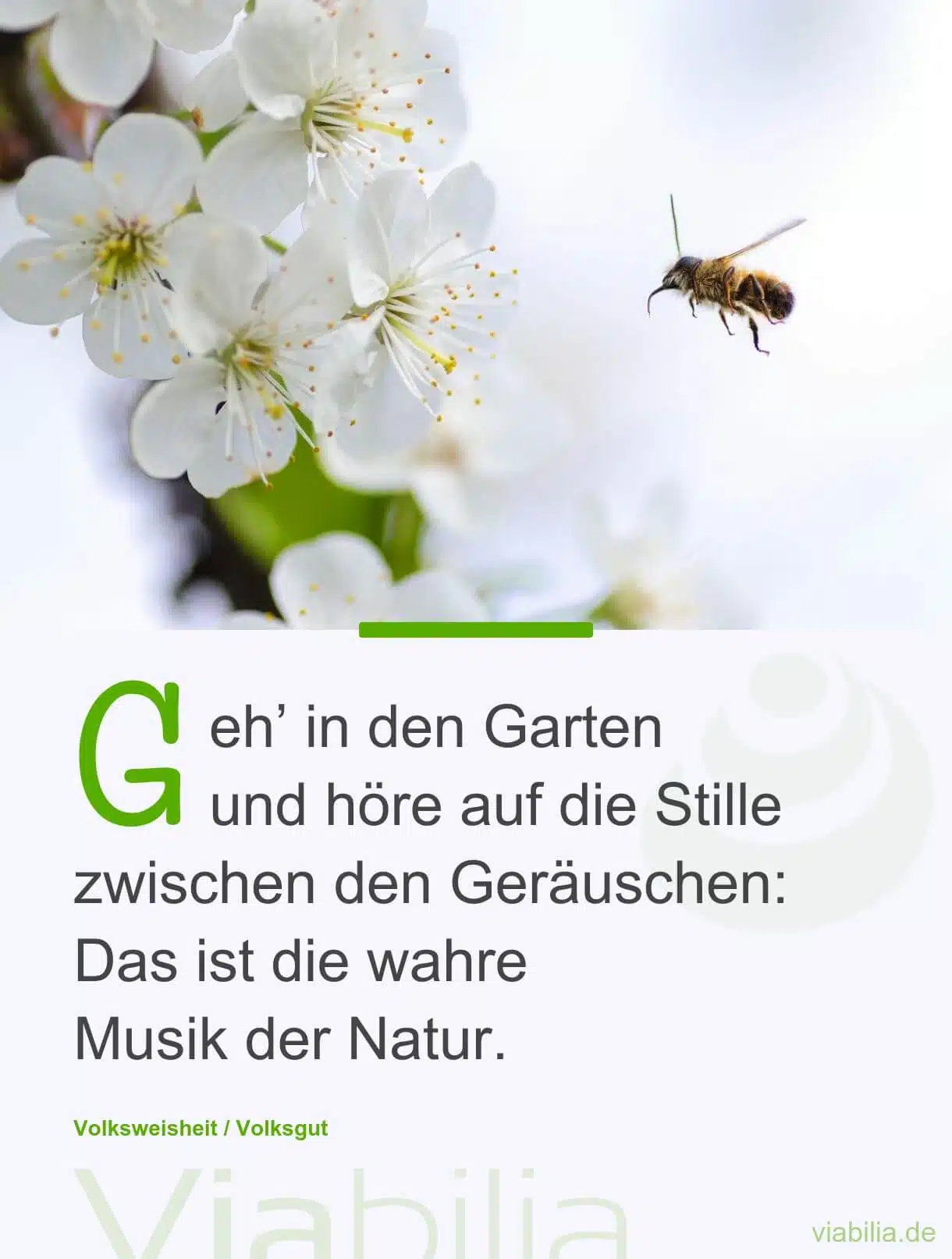 Gartenspruch über die Stille