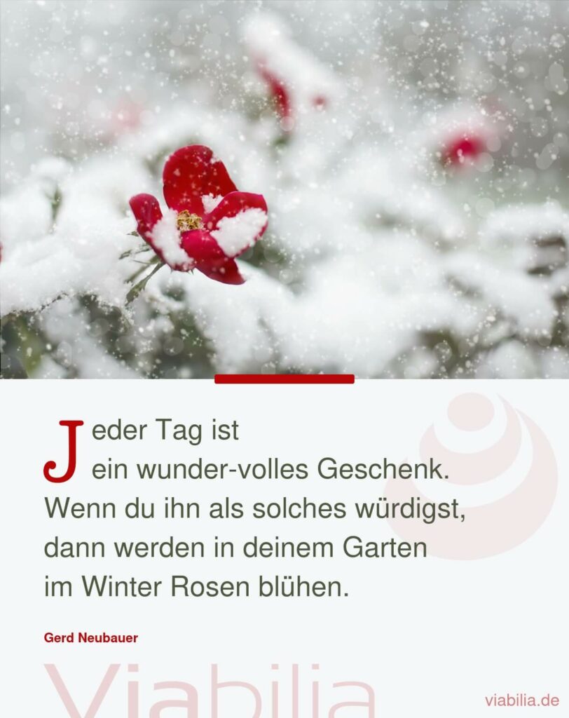 Gerd Neubauer Spruch: Tag als wunder-volles Geschenk