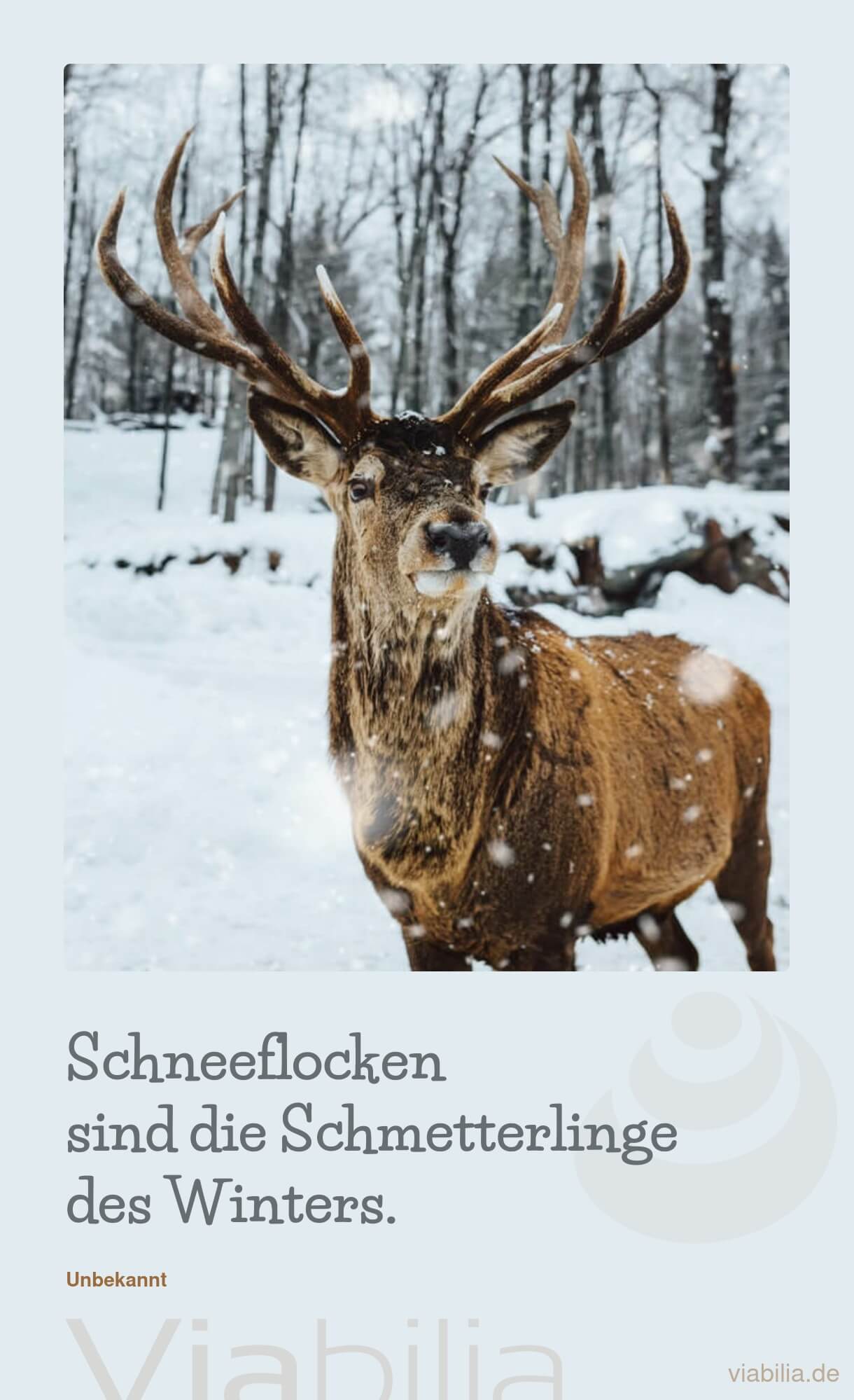 Spruch mit Tier (Hirsch) im Schnee Spruch mit Tier (Hirsch) im Schnee