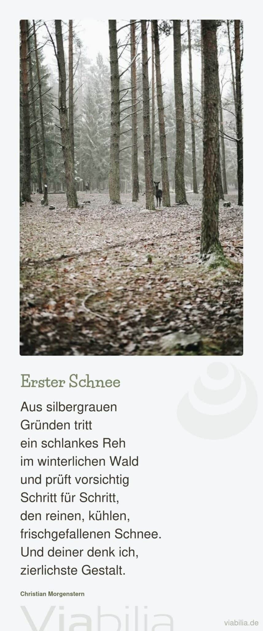 Winterlicher Tierspruch mit Reh auf dem Bild Winterlicher Tierspruch mit Reh auf dem Bild